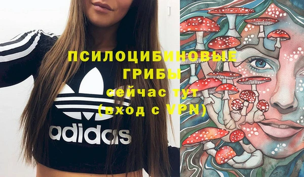 гашишное масло Медвежьегорск
